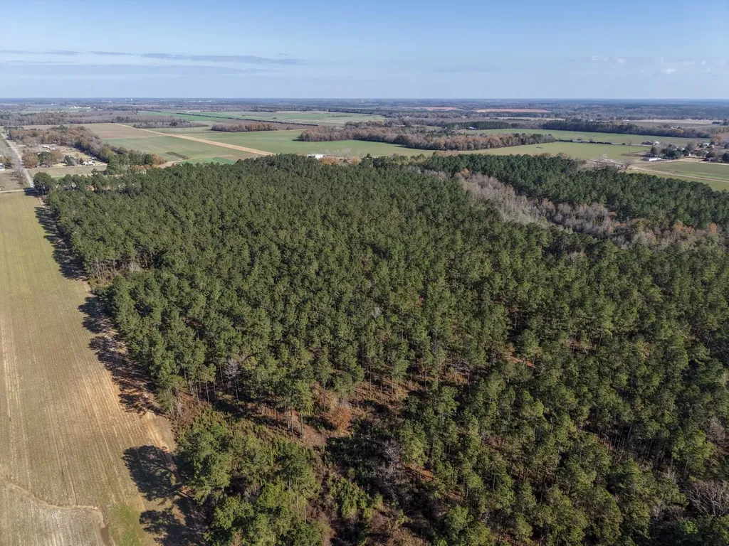 1152 Goodway Road Frisco City AL 36445