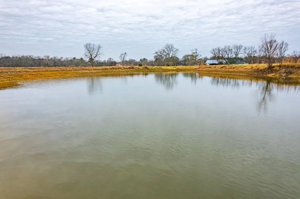 18.5 Acres Barkley Bridge Road Hartselle AL 35640