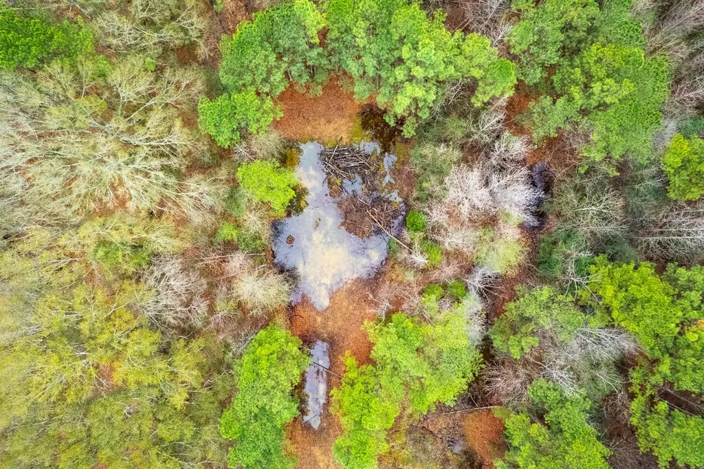 18.5 Acres Barkley Bridge Road Hartselle AL 35640