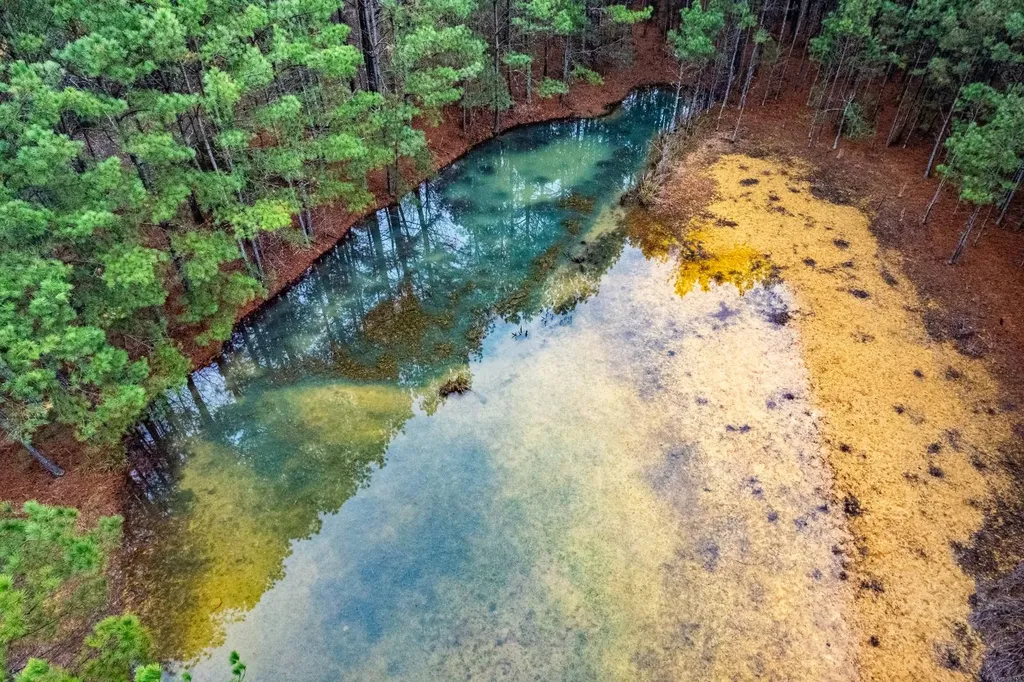 18.5 Acres Barkley Bridge Road Hartselle AL 35640