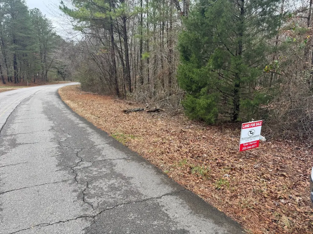 0 Slick Lizzard Road Nauvoo AL 35578