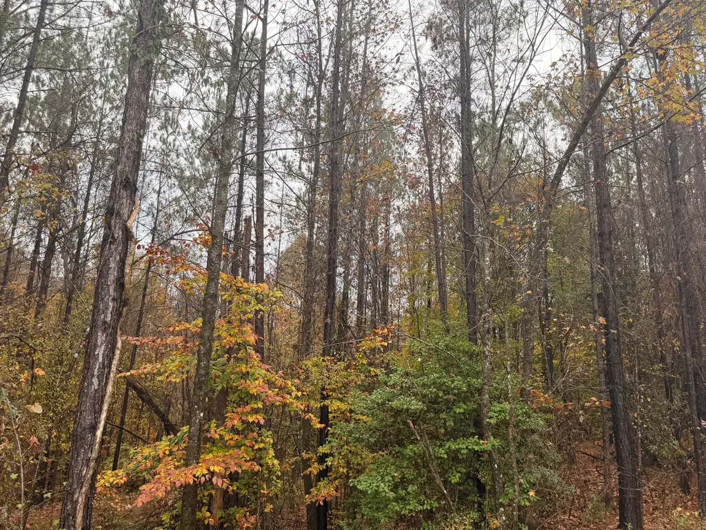 0 Round Hill Road Thomasville AL 36784