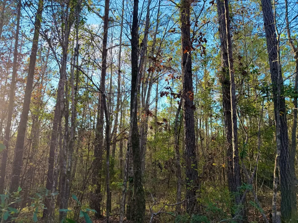 0 Round Hill Road Thomasville AL 36784
