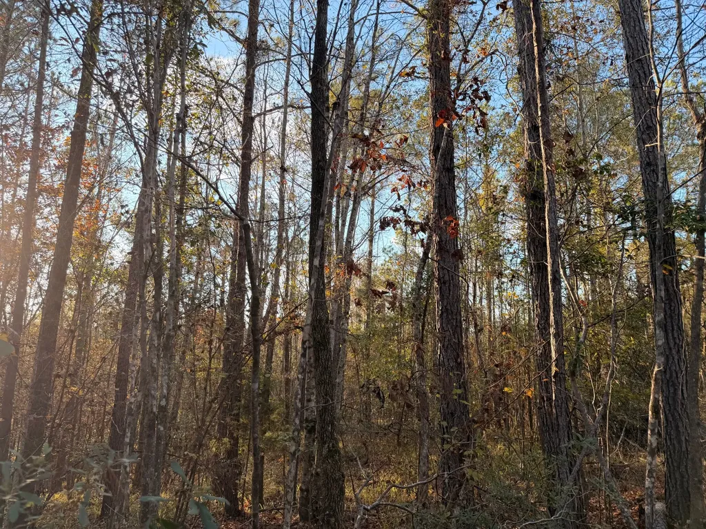 0 Round Hill Road Thomasville AL 36784