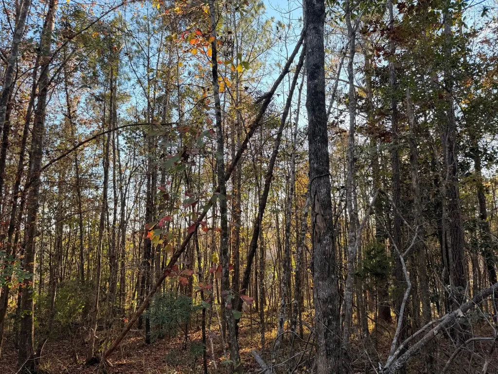 0 Round Hill Road Thomasville AL 36784