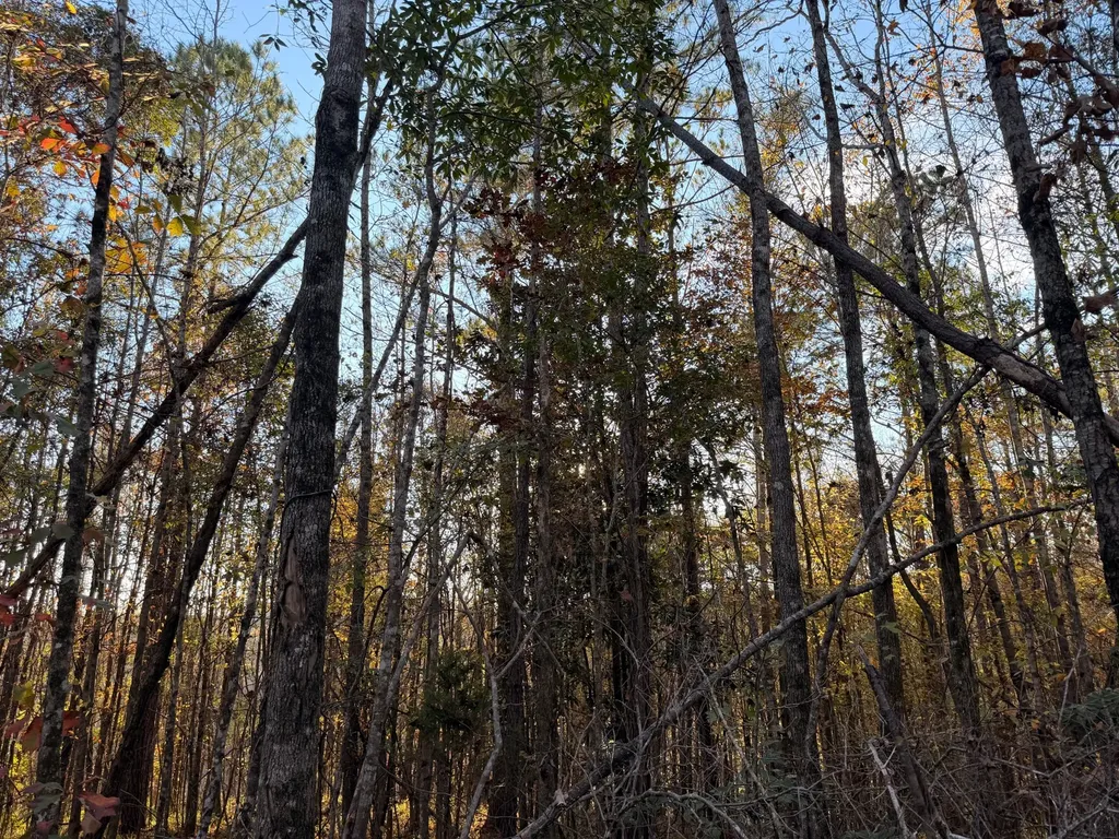 0 Round Hill Road Thomasville AL 36784