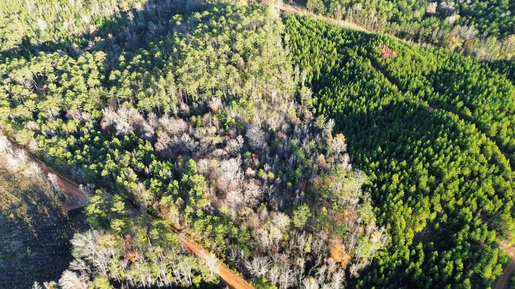 0 Round Hill Road Thomasville AL 36784