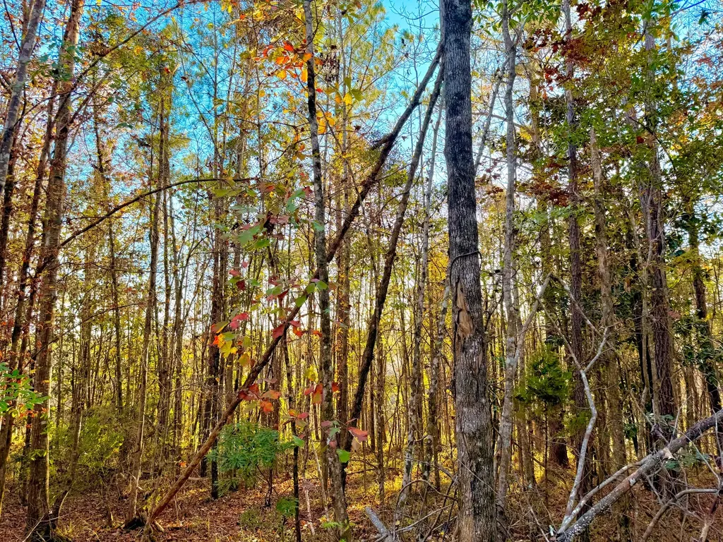 0 Round Hill Road Thomasville AL 36784