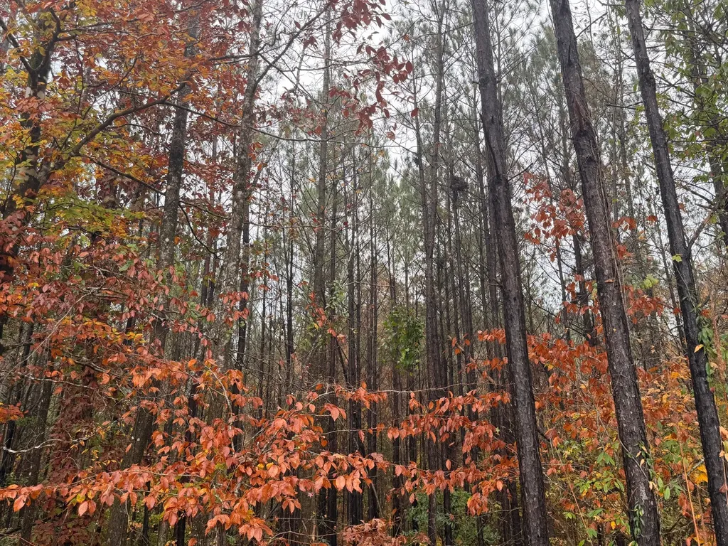 0 Round Hill Road Thomasville AL 36784