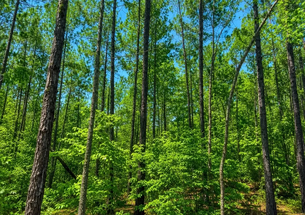 0 Round Hill Road Thomasville AL 36784