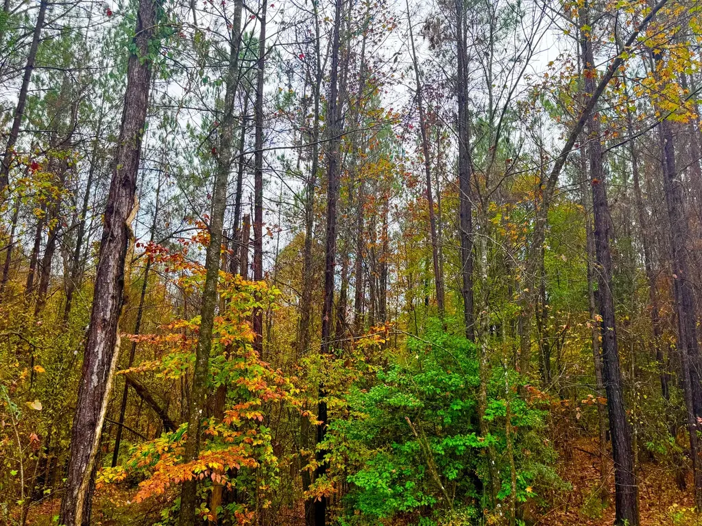 0 Round Hill Road Thomasville AL 36784