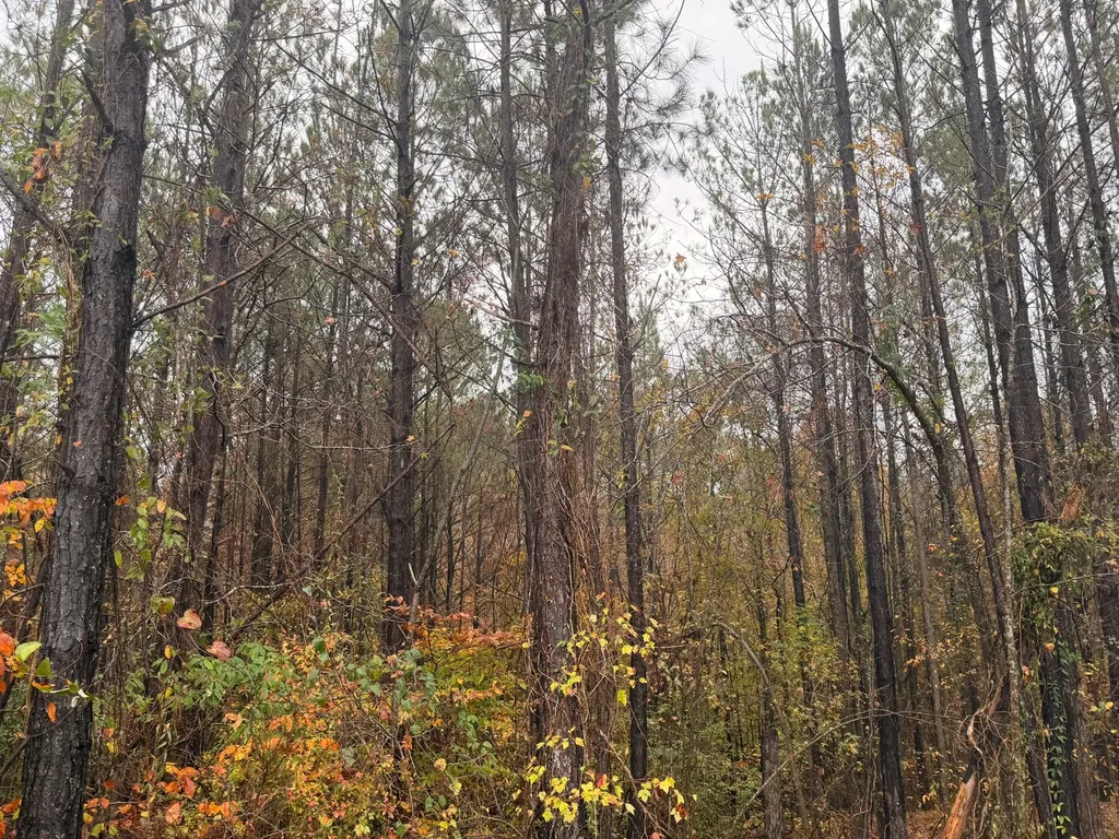 0 Round Hill Road Thomasville AL 36784