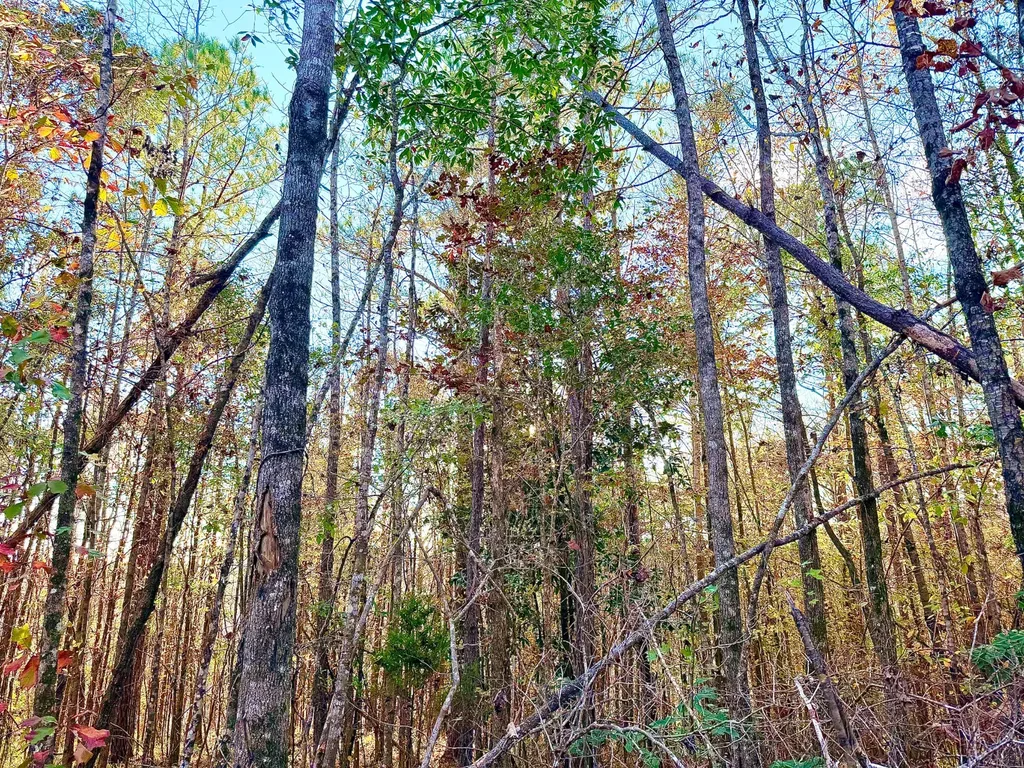 0 Round Hill Road Thomasville AL 36784