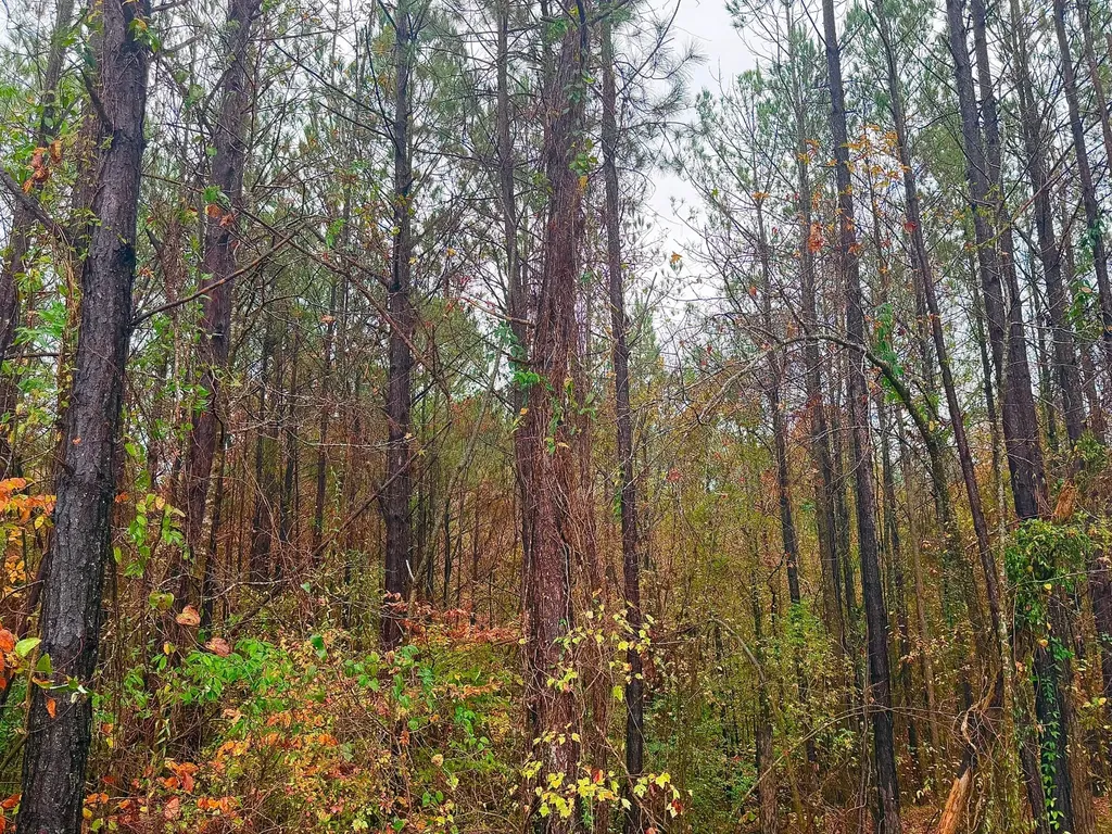 0 Round Hill Road Thomasville AL 36784