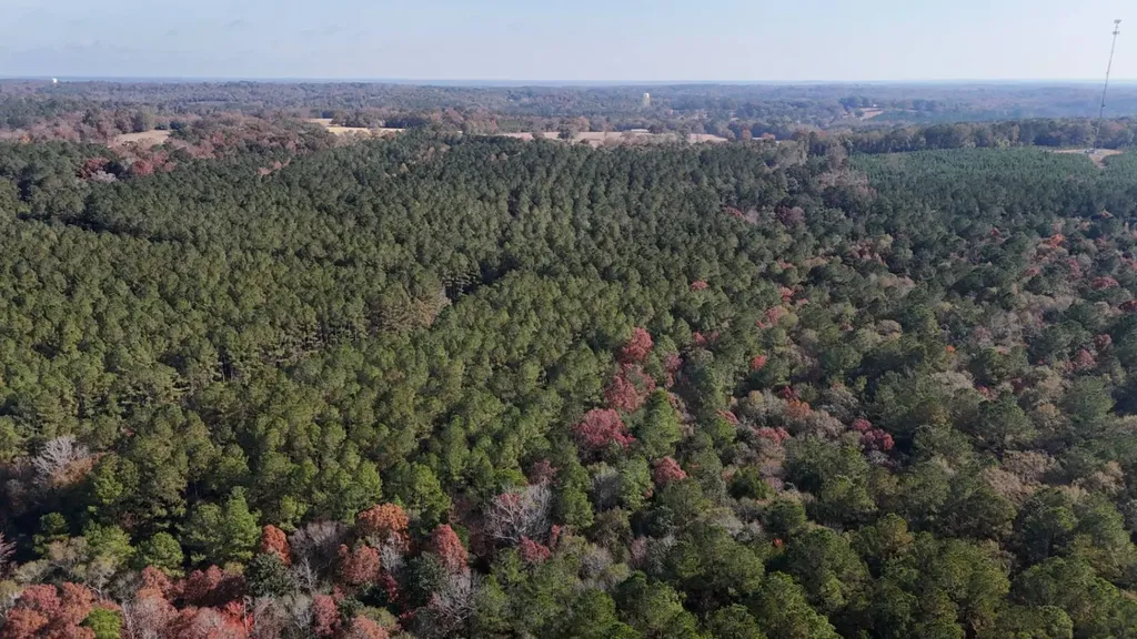 2331 Jernigan Road Ozark AL 36360