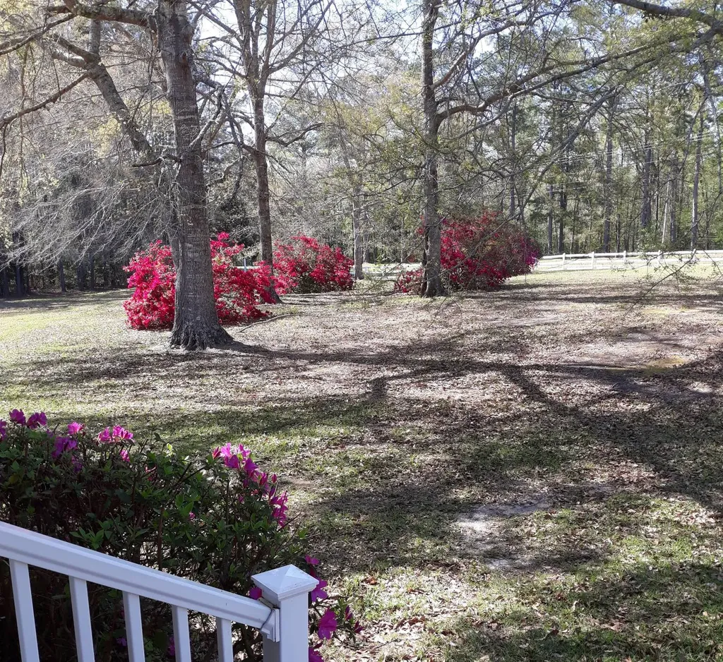 2331 Jernigan Road Ozark AL 36360