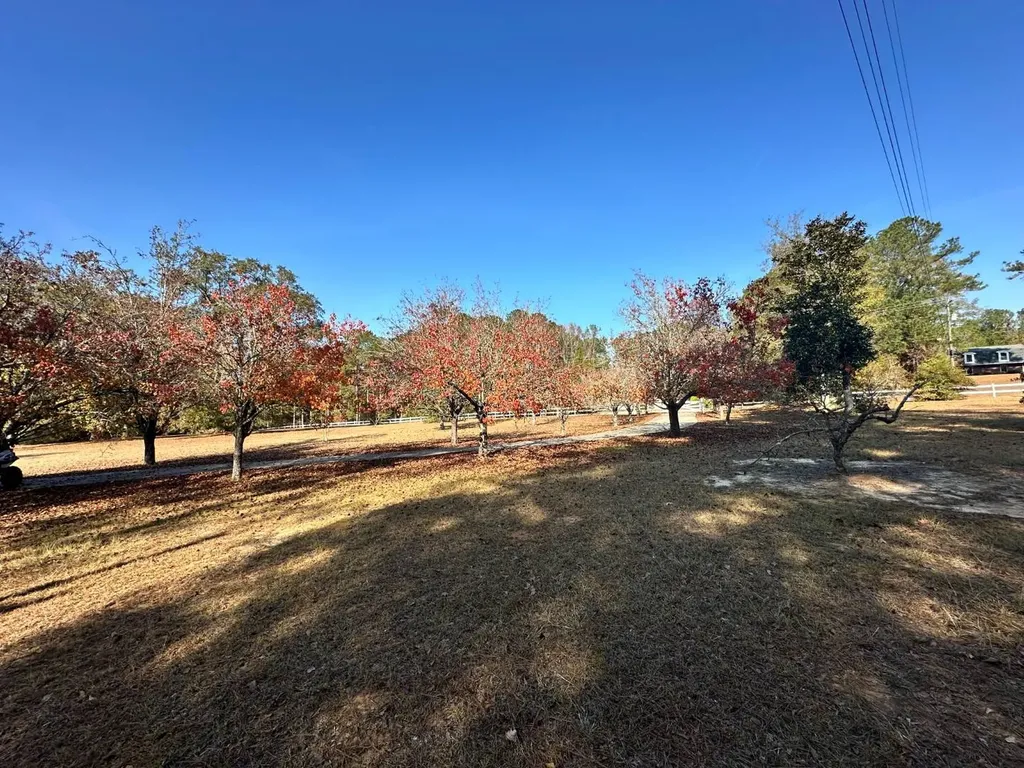 2331 Jernigan Road Ozark AL 36360