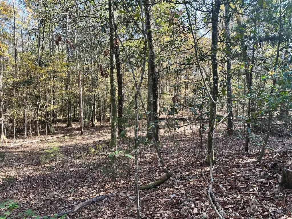2331 Jernigan Road Ozark AL 36360
