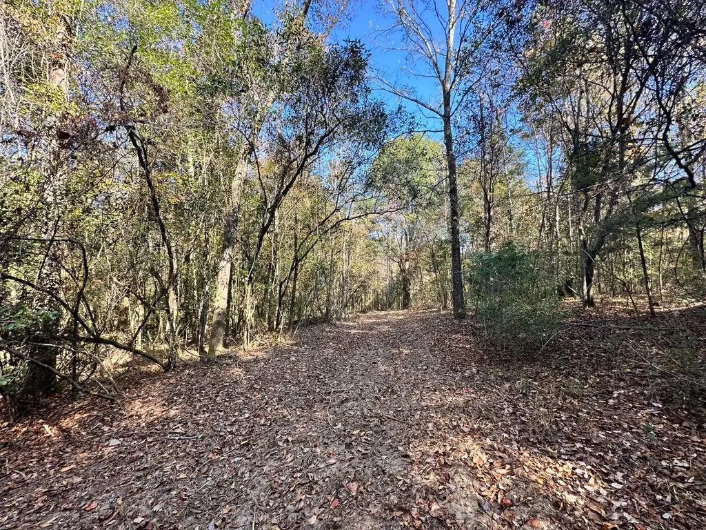 2331 Jernigan Road Ozark AL 36360