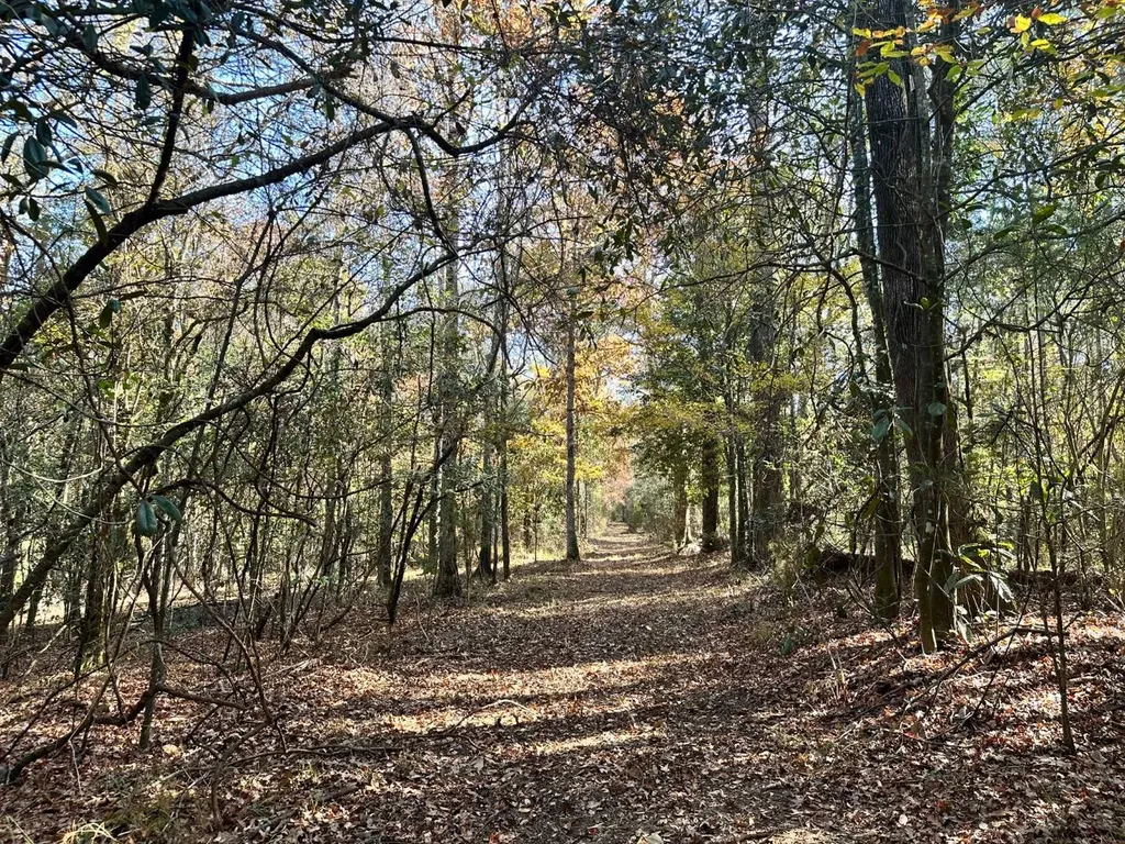 2331 Jernigan Road Ozark AL 36360