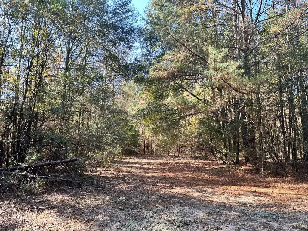2331 Jernigan Road Ozark AL 36360