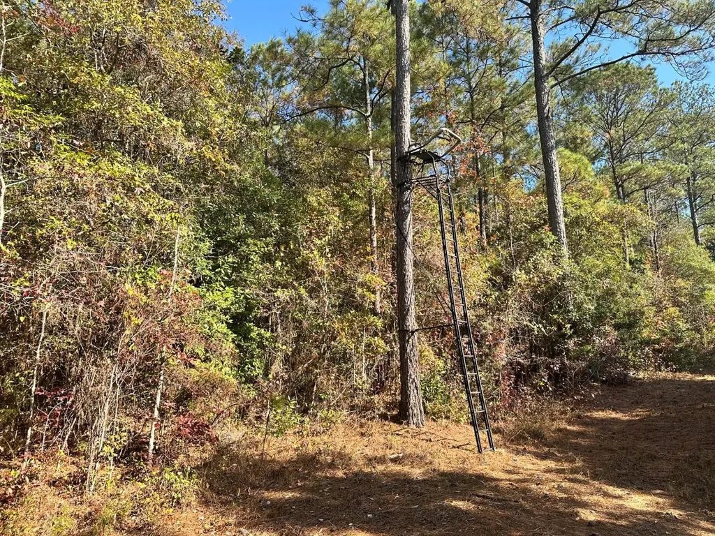 2331 Jernigan Road Ozark AL 36360