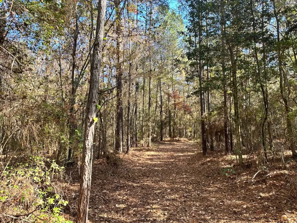 2331 Jernigan Road Ozark AL 36360