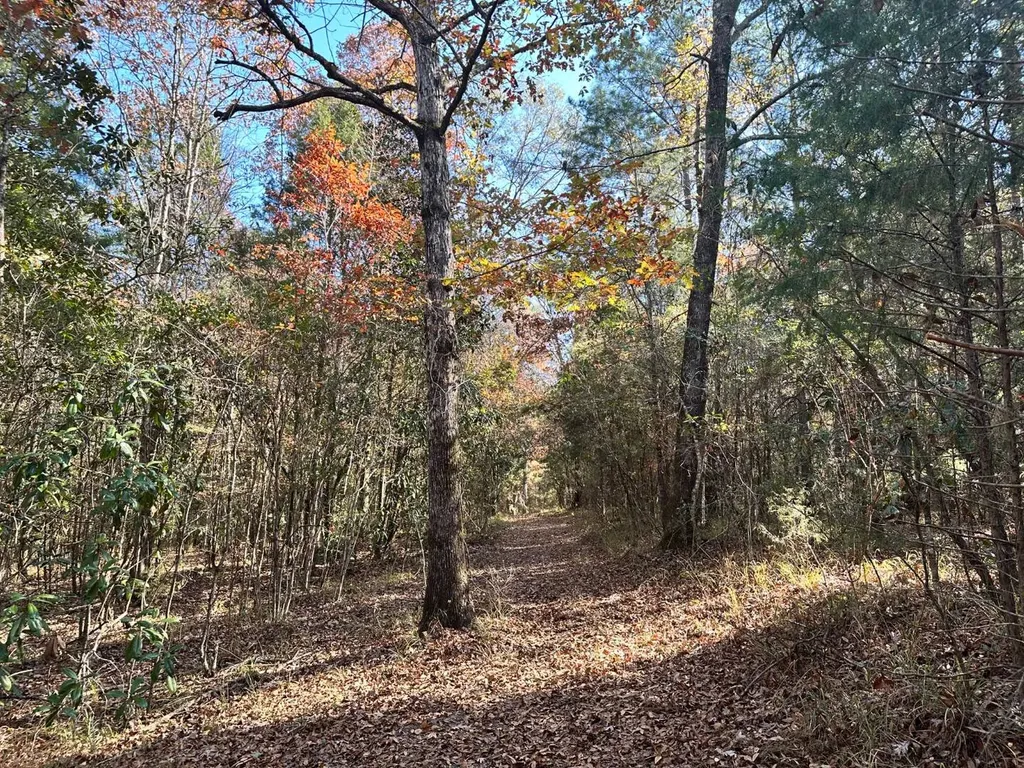 2331 Jernigan Road Ozark AL 36360