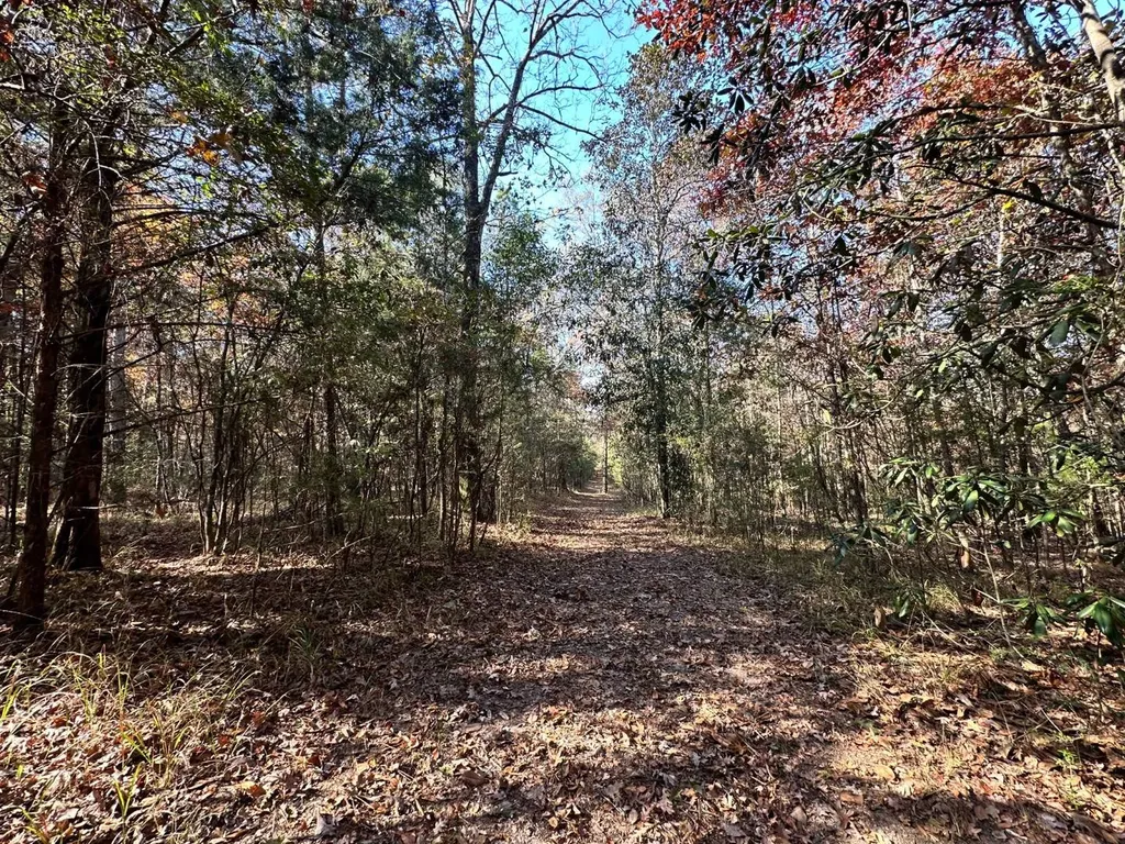 2331 Jernigan Road Ozark AL 36360
