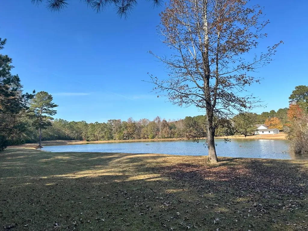 2331 Jernigan Road Ozark AL 36360