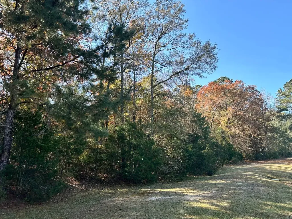 2331 Jernigan Road Ozark AL 36360