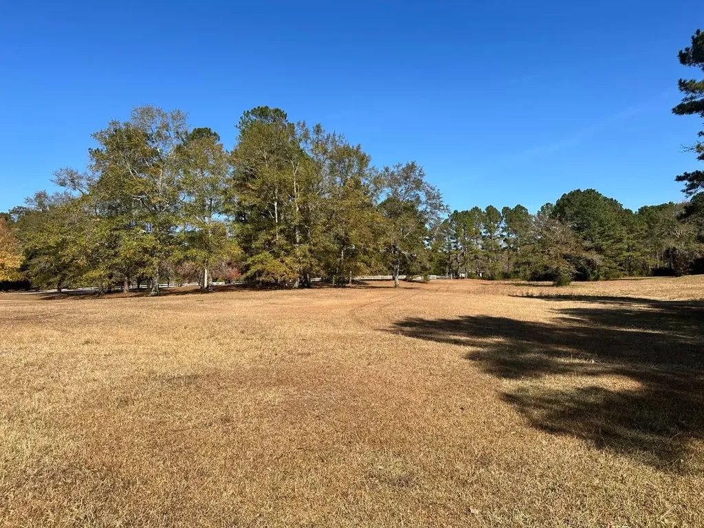 2331 Jernigan Road Ozark AL 36360