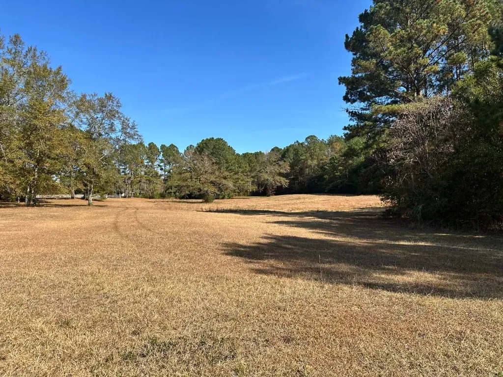 2331 Jernigan Road Ozark AL 36360