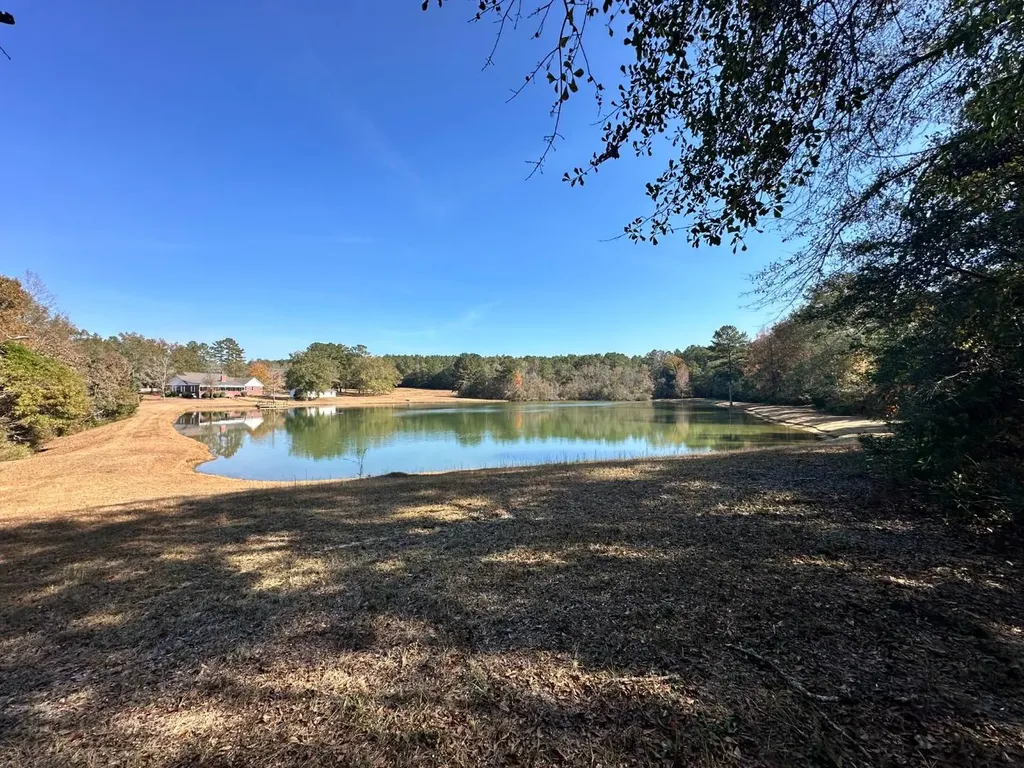 2331 Jernigan Road Ozark AL 36360