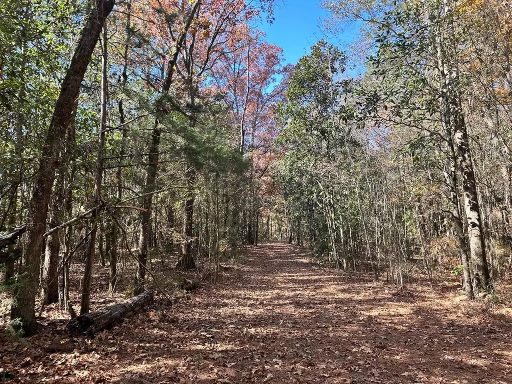 2331 Jernigan Road Ozark AL 36360