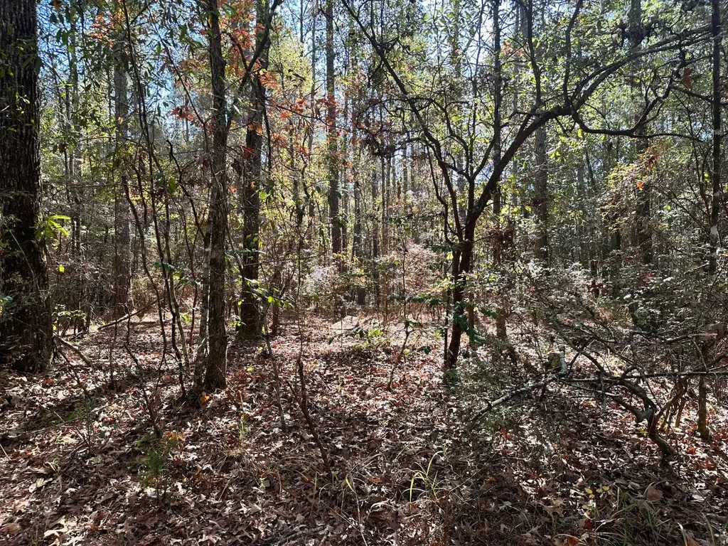2331 Jernigan Road Ozark AL 36360