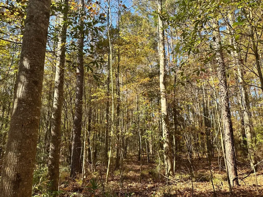 2331 Jernigan Road Ozark AL 36360