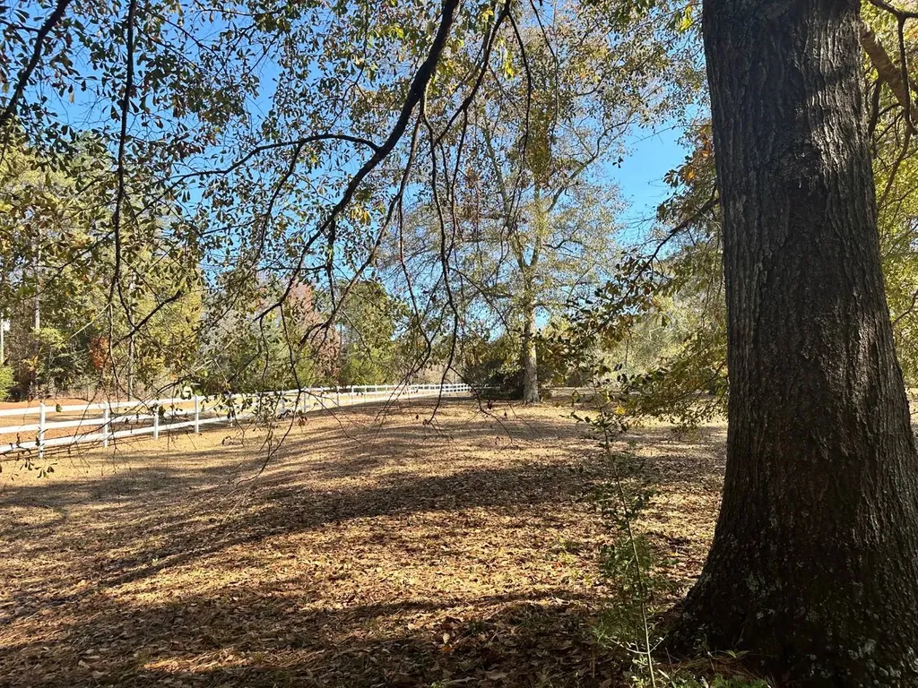 2331 Jernigan Road Ozark AL 36360