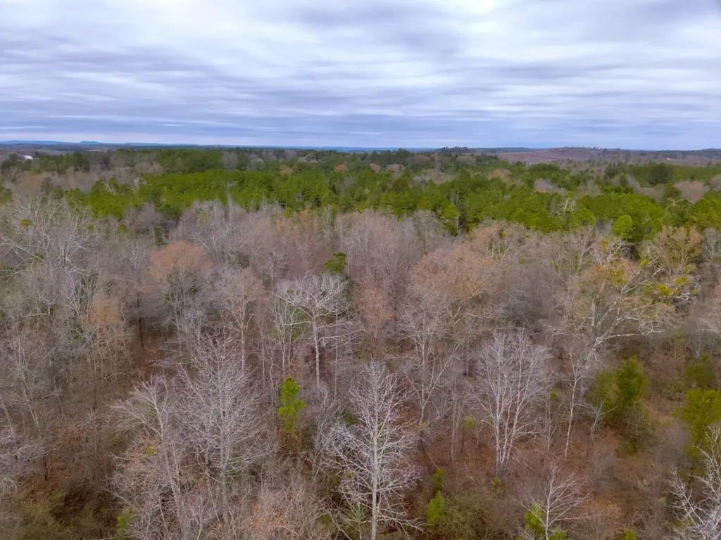 0 Cove Shocco Road Talladega AL 35160