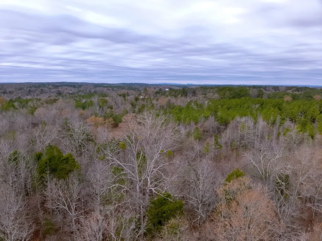 0 Cove Shocco Road Talladega AL 35160