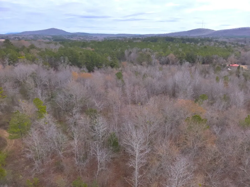 0 Cove Shocco Road Talladega AL 35160