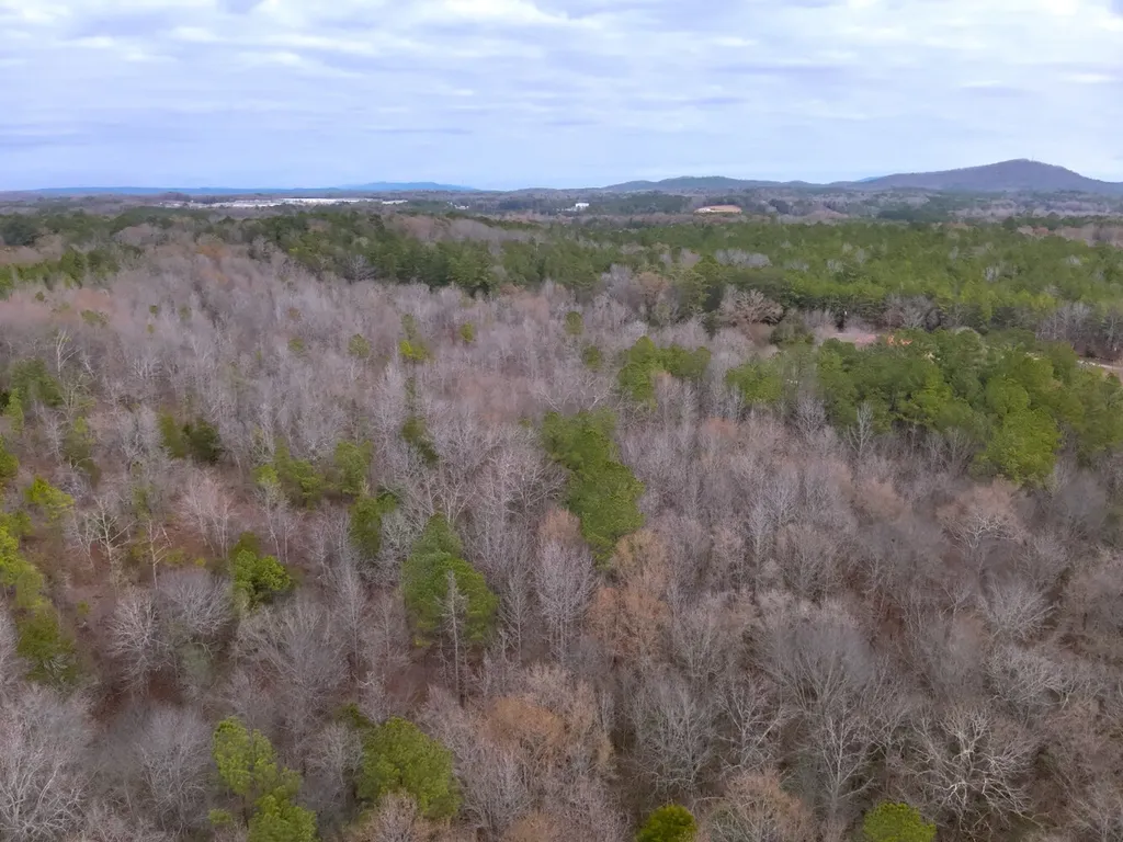 0 Cove Shocco Road Talladega AL 35160