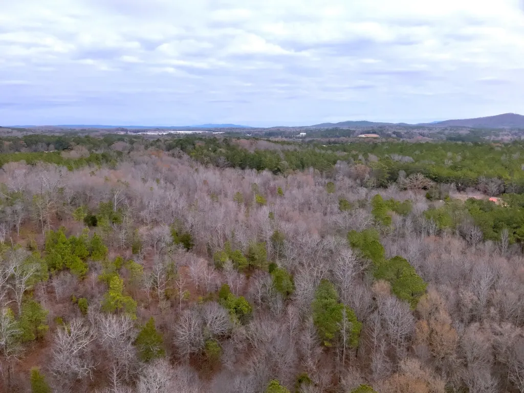 0 Cove Shocco Road Talladega AL 35160