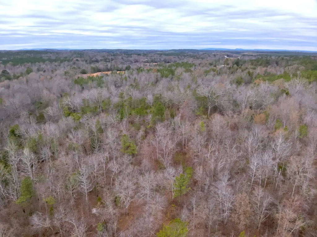 0 Cove Shocco Road Talladega AL 35160