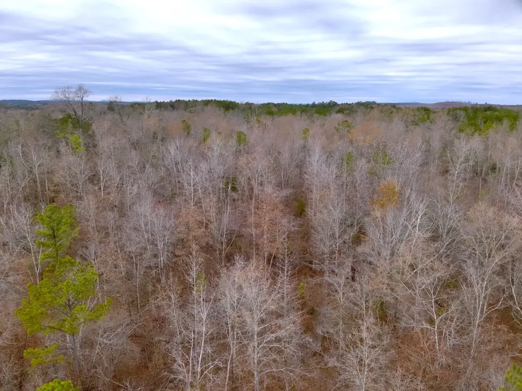 0 Cove Shocco Road Talladega AL 35160