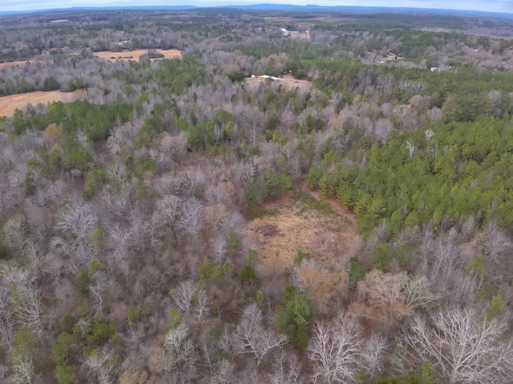 0 Cove Shocco Road Talladega AL 35160