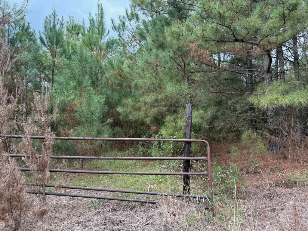 0 Cove Shocco Road Talladega AL 35160