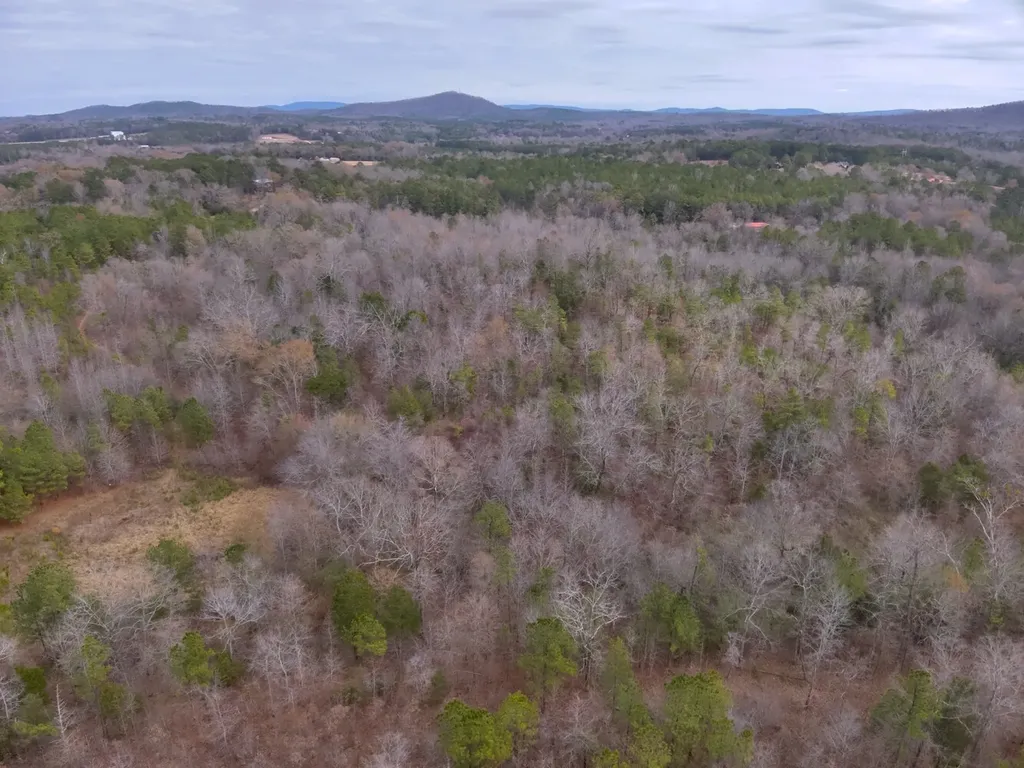 0 Cove Shocco Road Talladega AL 35160