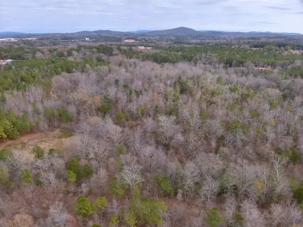 0 Cove Shocco Road Talladega AL 35160