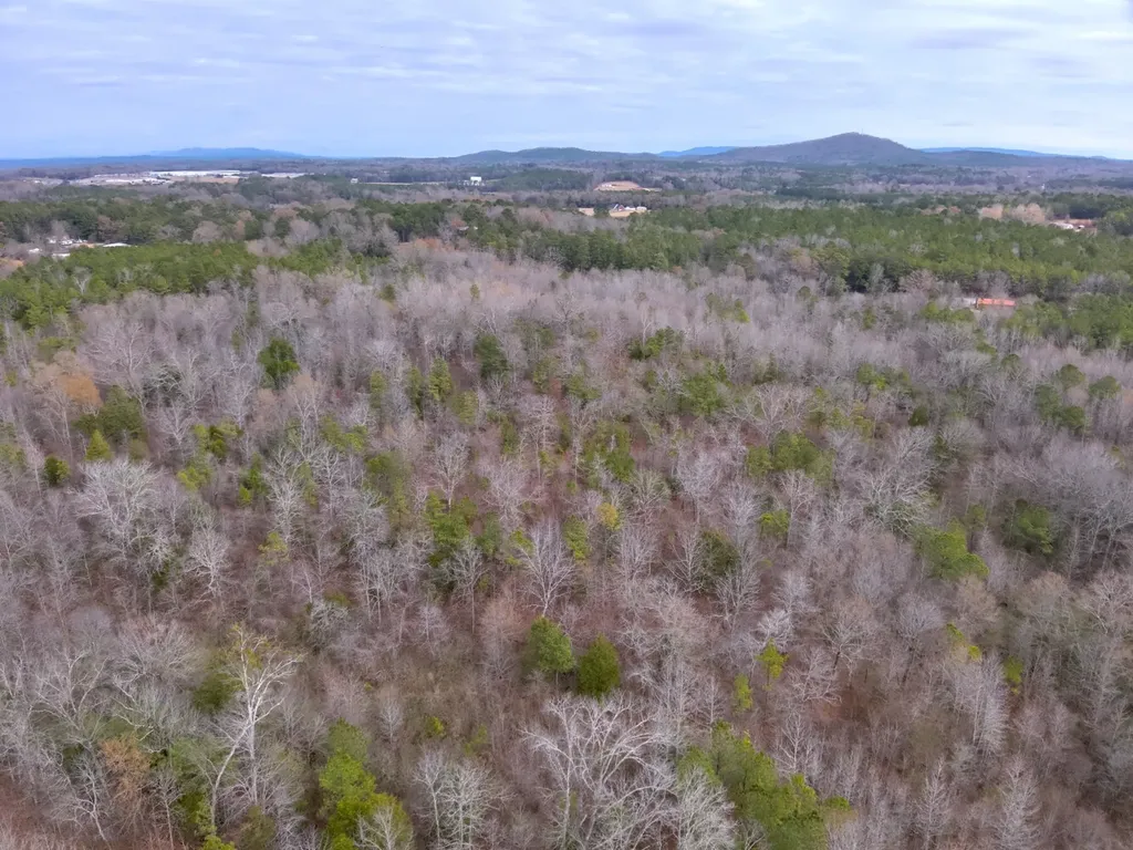 0 Cove Shocco Road Talladega AL 35160